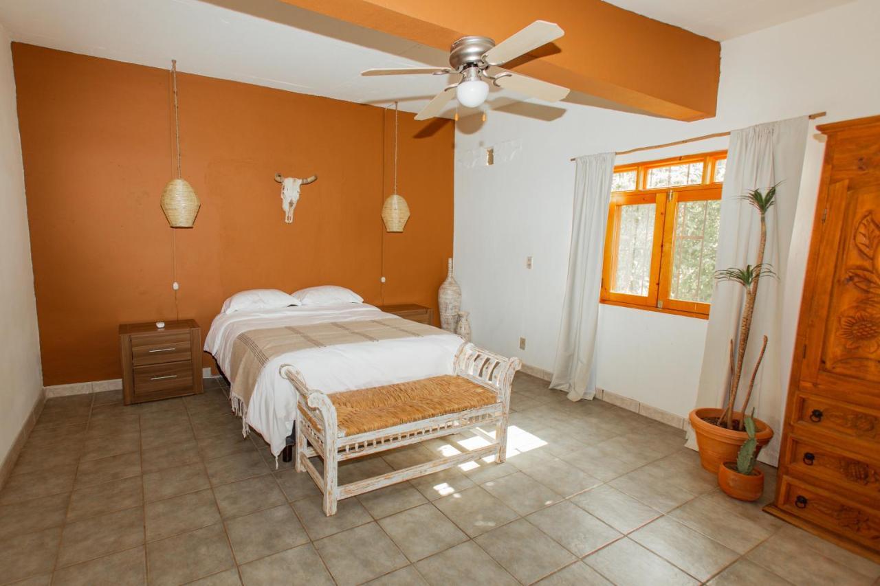 Cien Palmas- Authentic Mexican Casita 1 -Downtown Todos Santos Buitenkant foto